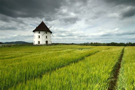 Rustic barley fields