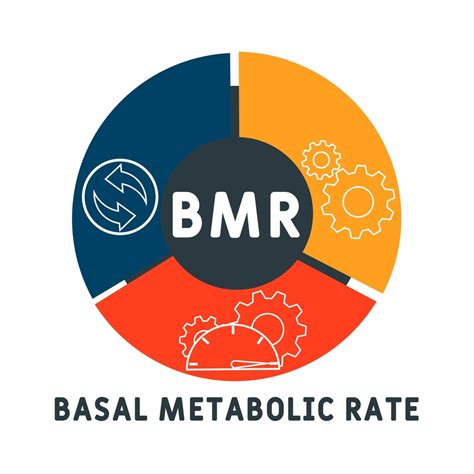 Basal Metabolic Rate