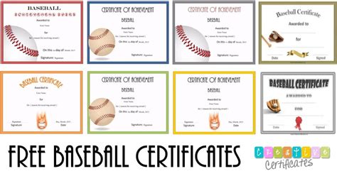 Importance of Baseball Certificates