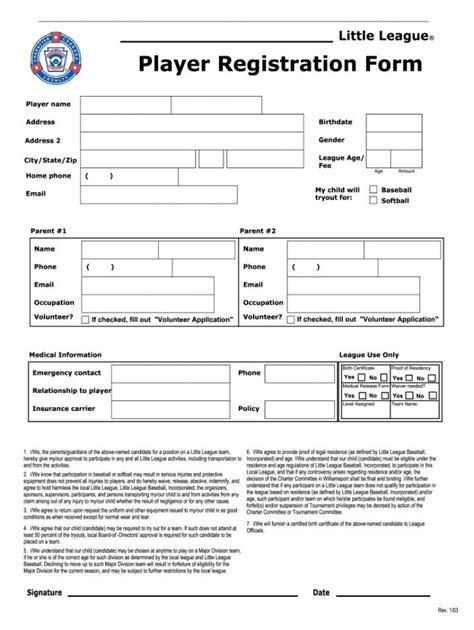 Baseball Tryout Registration Form Template Word