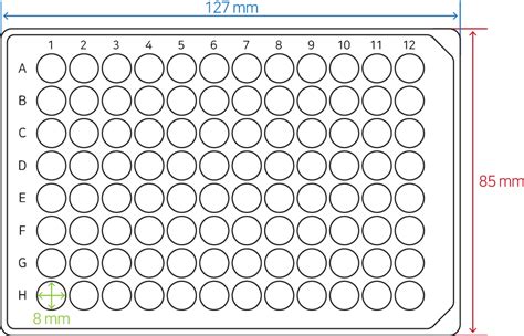 Basic 96 Well Plate Layout