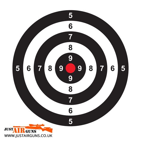 Basic Airsoft Target