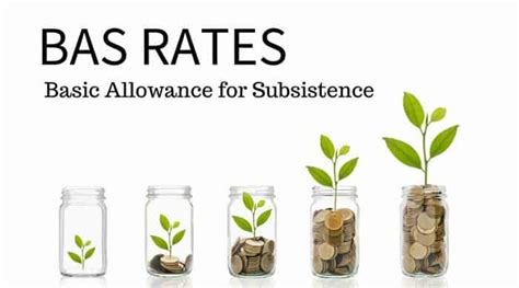 Understanding Basic Allowance for Subsistence