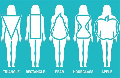 Basic Body Shape