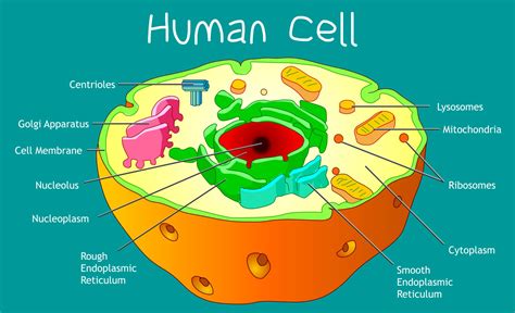 Basic Cell References in Excel