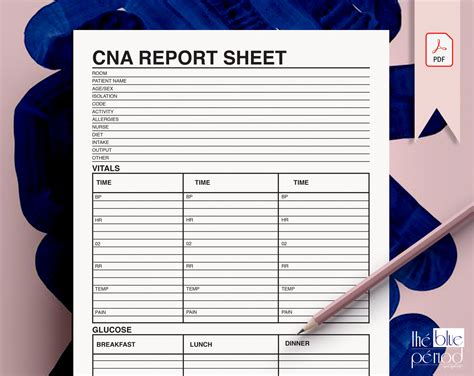 Basic CNA report sheet template