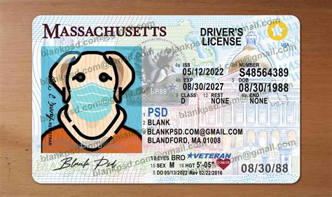 Basic Driver's License Template