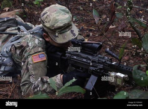 Basic Infantryman Providing Security