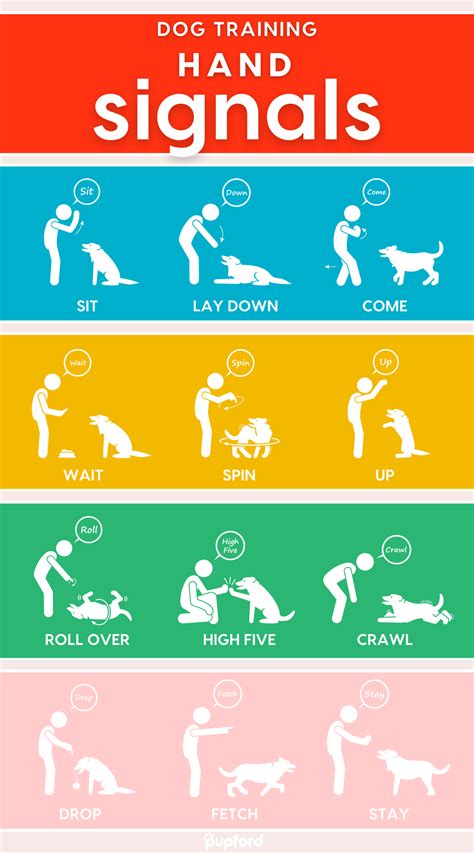 Basic obedience commands worksheet