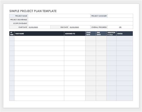 Basic Project Plan Template