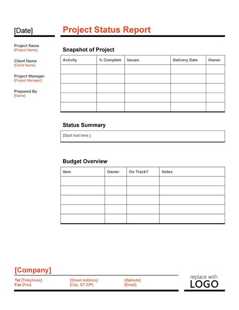 Basic Project Status Report Template