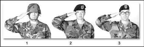 Basic Salute Technique