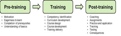 Basic training process