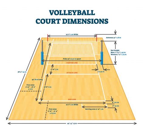 Basic Volleyball Court Template