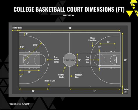 Basketball Court Dimensions and Layout