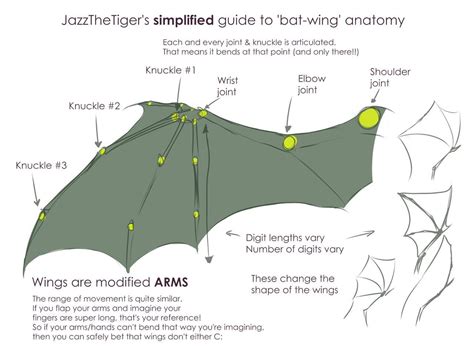 Bat Wing Diagram Template