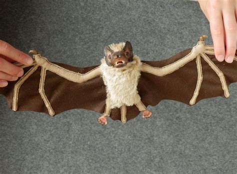 Bat Wing Paper Bag Puppet