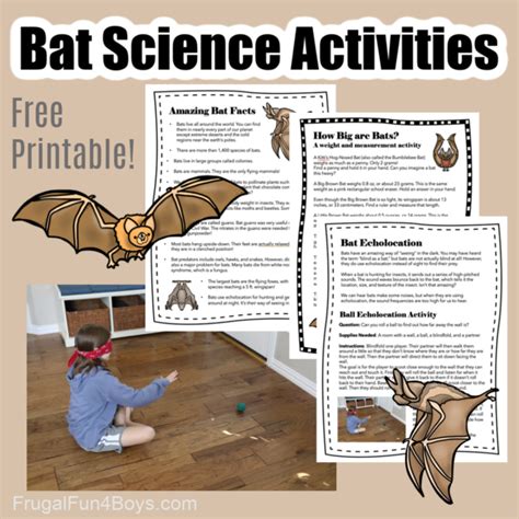 Bat Wing Science Projects