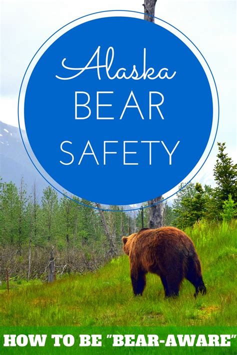 Bear safety in Alaska