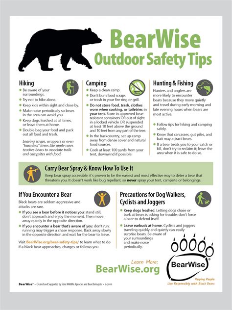 Bear safety tips