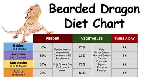 Bearded Dragon Food Chart Exceptions