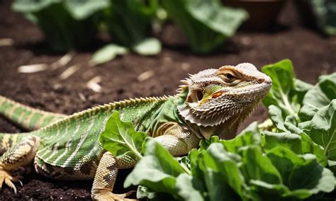 Bearded dragon leafy greens