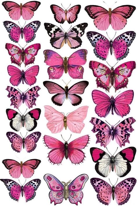 Beautiful Butterfly Printable