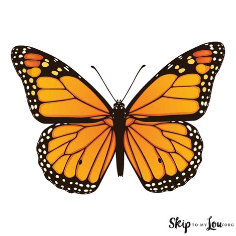 Beautiful Butterfly Printable