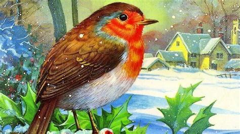 Beautiful Christmas bird