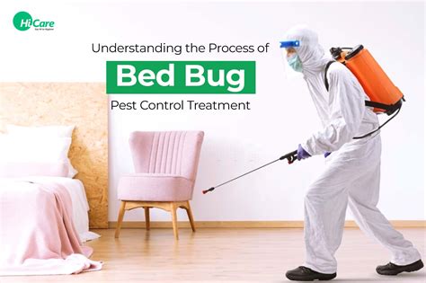 Bed Bug Control Strategies