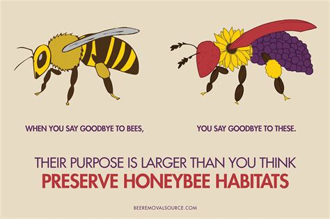 Bee Conservation Printables Gallery