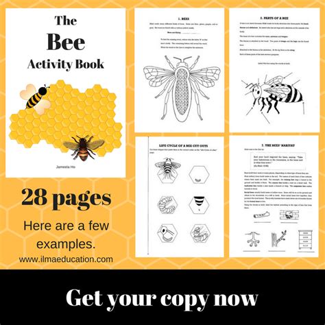 Bee Education Printables Gallery