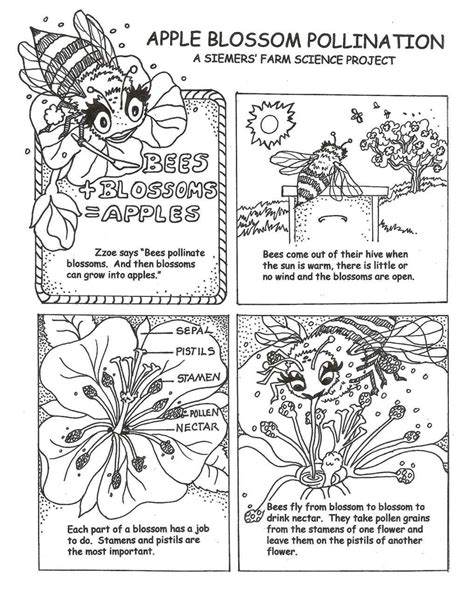 Bee Pollination Printables Gallery