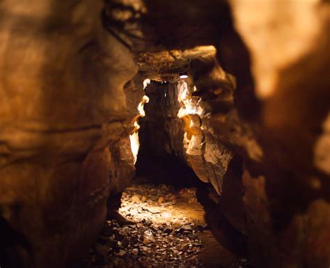 Bell Witch Cave Plantation