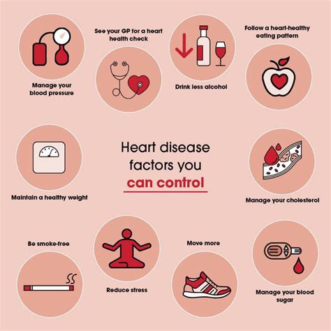 Benefits for Circulatory Health