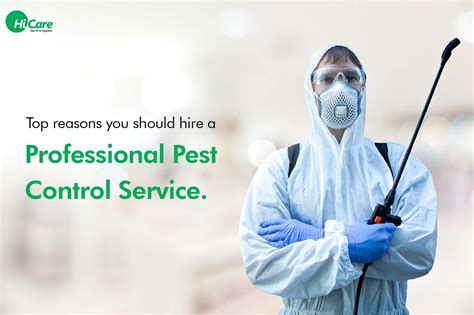 Benefits of Professional Pest Control Services