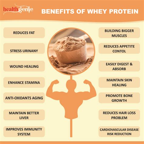 Benefits of Whey Protein for SNAP Recipients