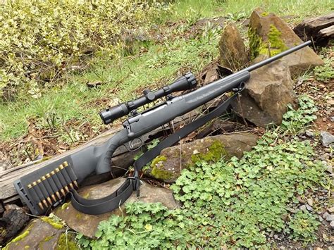 Best 308 Rifles