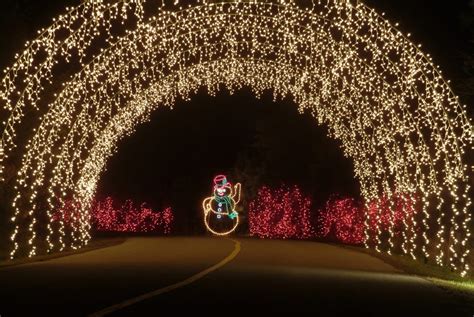 Best Christmas Lights in Charleston