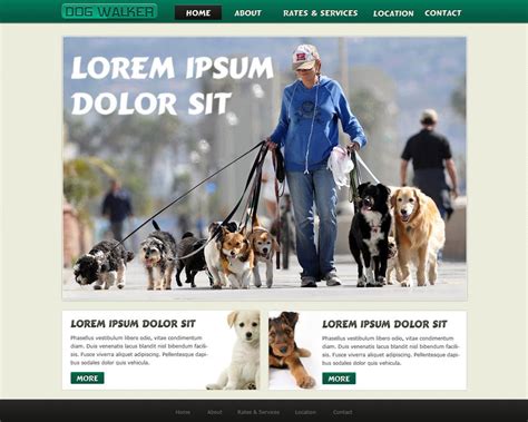 Best Dog Walking Website Templates