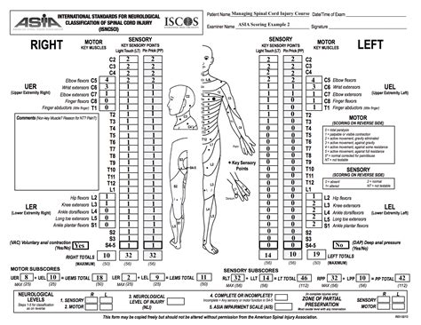 Best Practices for Using Spine Template