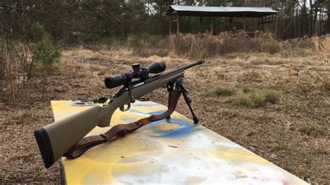 Best Ranch Rifle for Hunting