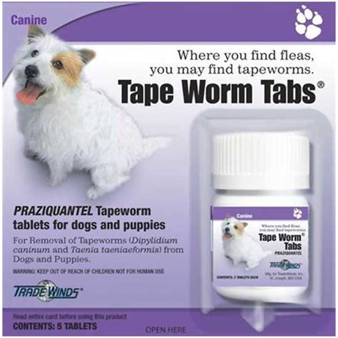 Best tapeworm meds