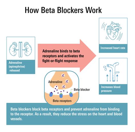 Types of Beta Blockers