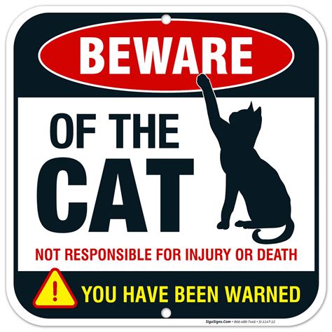 Beware of Cat Sign Fun