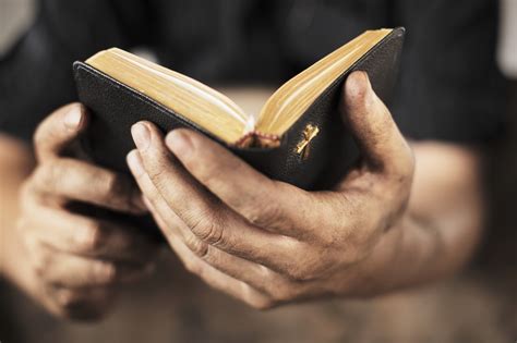 Bible in Someone's Hands