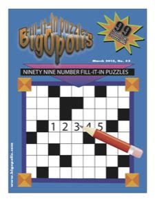 Bigopolis Puzzles for Middle School