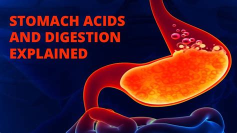 Bile acids and digestive health