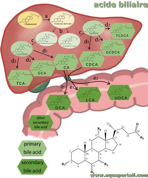 Bile acids dosage