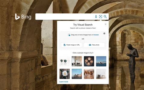 Bing Visual Search gun